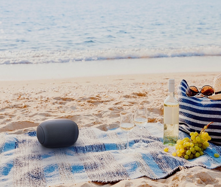 LG XBOOMGo PL2 Portable Bluetooth Speaker