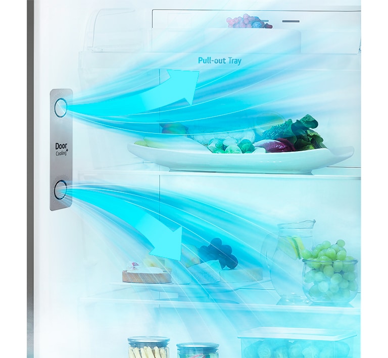 <img data-src="/au/images/RF/features/ref-vt8-9-basic-good-ps3-02-door-cooling-d.jpg" class="pc lazyloaded" alt="Fast cooling for stored door items1" src="/au/images/RF/features/ref-vt8-9-basic-good-ps3-02-door-cooling-d.jpg" data-loaded="true">