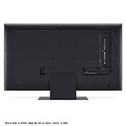 LG 43 inch LG QNED81 4K Smart TV, 43QNED81TSA