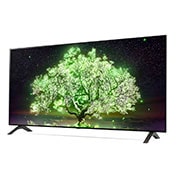 LG A1 48 inch 4K Smart Self-Lit OLED TV w/ AI ThinQ®, OLED48A1PTA