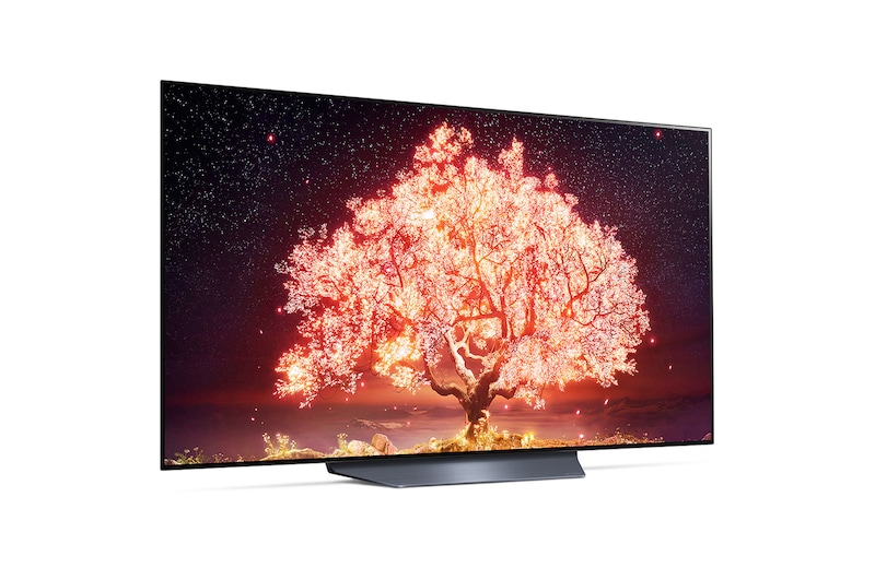 LG B1 55 inch 4K Smart Self-Lit OLED TV w/ AI ThinQ®, OLED55B1PTA