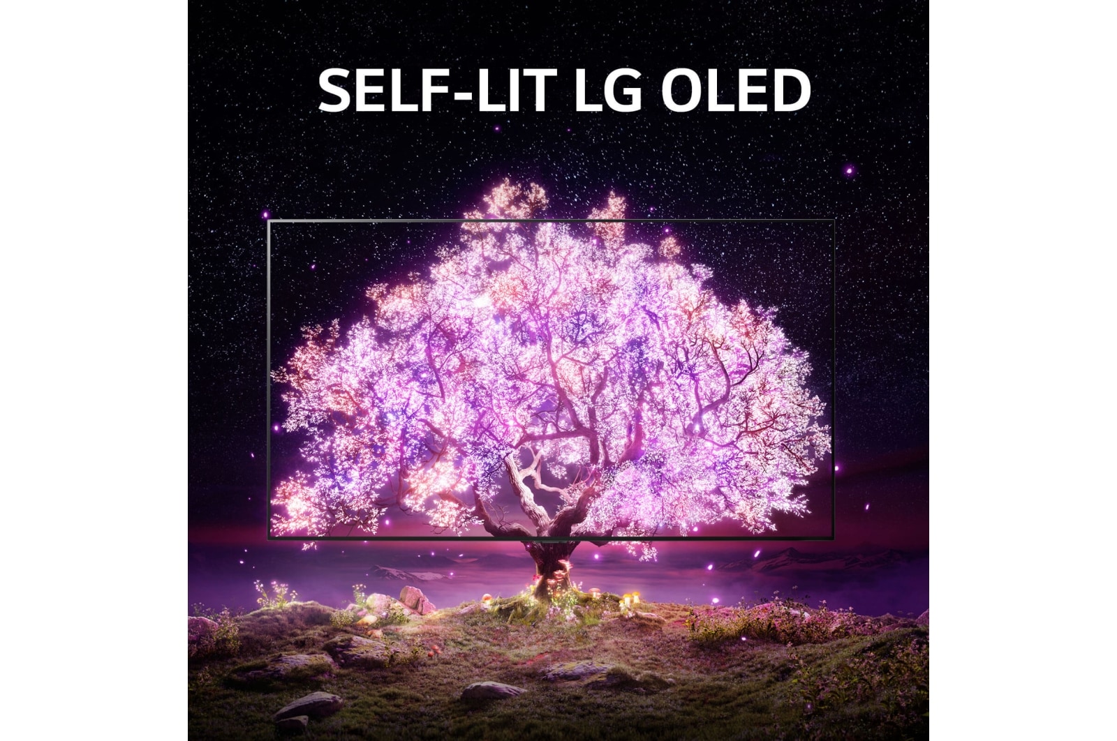 LG B1 55 inch 4K Smart Self-Lit OLED TV w/ AI ThinQ®, OLED55B1PTA