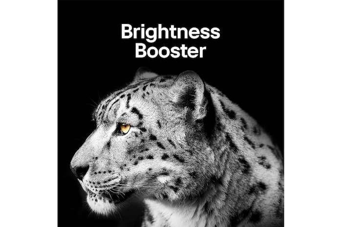 LG 55 inch LG OLED evo C4 4K Smart TV, OLED55C4PSA