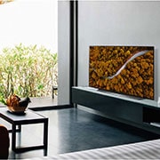 LG CX 55 inch 4K Smart Self-Lit OLED TV w/ AI ThinQ®, OLED55CXPTA