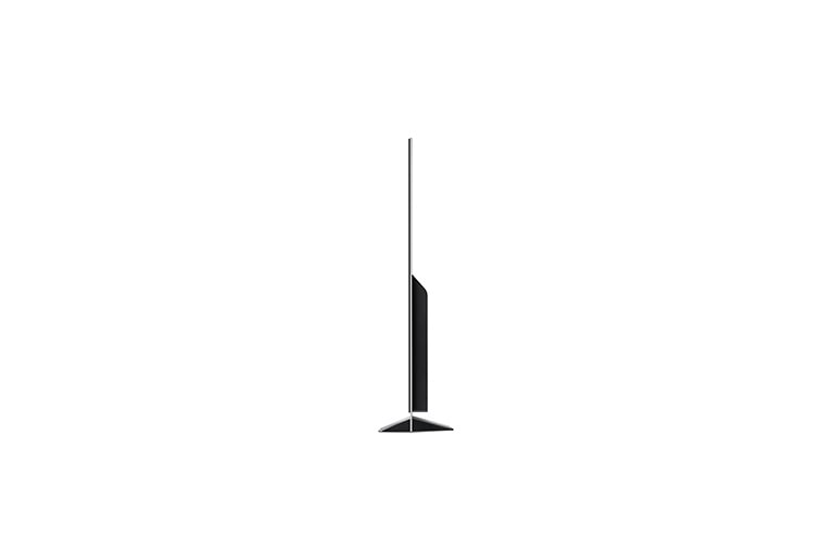 LG OLED TV E8 55 inch, OLED55E8PTA
