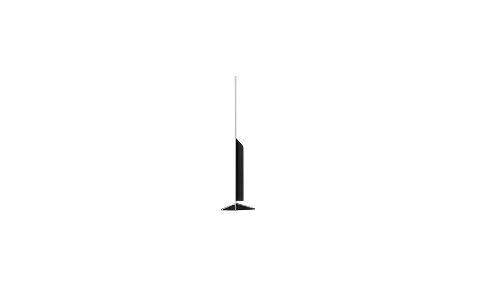 LG OLED TV E8 55 inch, OLED55E8PTA