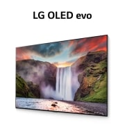 LG G1 55 inch with Gallery Design 4K Smart Self-Lit OLED evo TV w/ AI ThinQ®, OLED55G1PTA-PACK