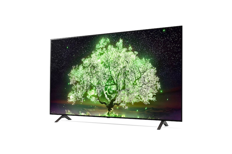 LG A1 65 inch 4K Smart Self-Lit OLED TV w/ AI ThinQ®, OLED65A1PTA