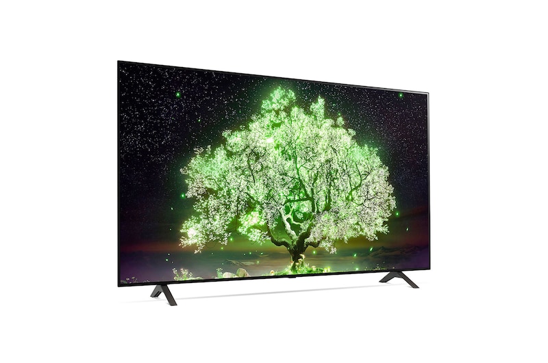 LG A1 65 inch 4K Smart Self-Lit OLED TV w/ AI ThinQ®, OLED65A1PTA