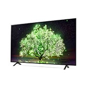 LG A1 65 inch 4K Smart Self-Lit OLED TV w/ AI ThinQ®, OLED65A1PTA