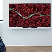 LG BX 65 inch 4K Smart Self-Lit OLED TV w/ AI ThinQ®, OLED65BXPTA