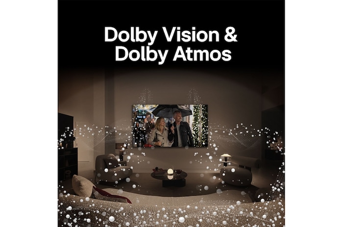 LG 83 inch LG OLED evo C4 4K Smart TV, OLED83C4PSA