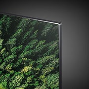 LG SIGNATURE OLED 8K, OLED88Z9PTA