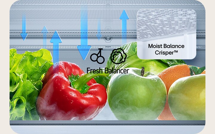 LG koel‑vriescombinatie GBBS322CEV Fresh Balancer met groente en fruit en Crisper close‑up.