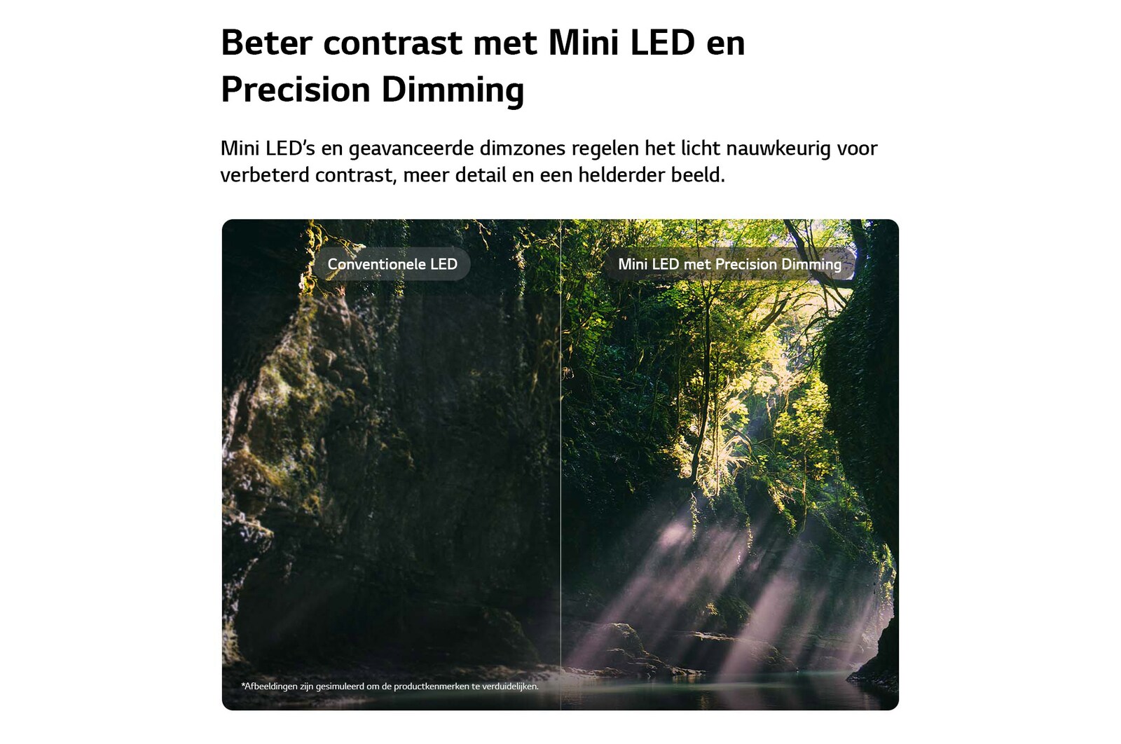 LG QNED evo AI QNED86 Mini LED laat zien hoe Mini LED met Precision Dimming werkt in een gesplitste bosscène, waarbij conventionele LED wordt vergeleken met diepere zwarttinten en een verfijnder contrast terwijl het zonlicht door de bomen schijnt voor meer helderheid en diepte.