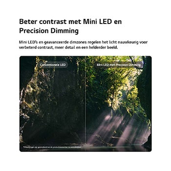 LG QNED evo AI QNED86 Mini LED laat zien hoe Mini LED met Precision Dimming werkt in een gesplitste bosscène, waarbij conventionele LED wordt vergeleken met diepere zwarttinten en een verfijnder contrast terwijl het zonlicht door de bomen schijnt voor meer helderheid en diepte.