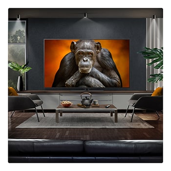 LG 55 inch LG OLED evo AI G5 4K Smart TV 2025, OLED55G56LS
