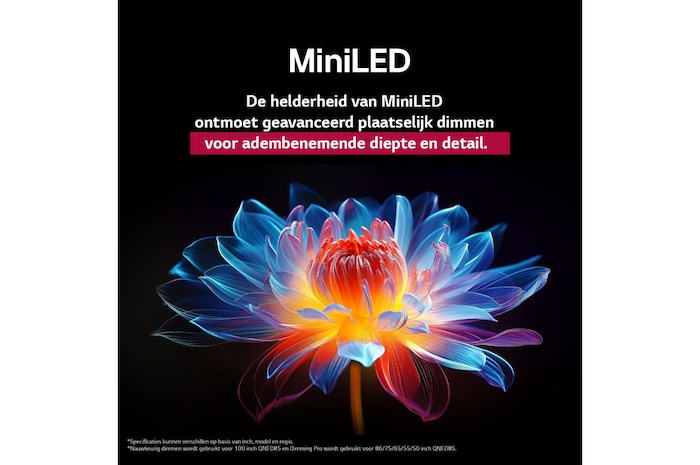 3D holografische bloem in veel verschillende tinten tegen een zwarte achtergrond. De definitie en het detail van de bloem laten zien dat QNED MiniLED beelden kan produceren met uitzonderlijke kleuren, helderheid en contrast. De titel vertelt hoe MiniLED de helderheid verbetert en een uitzonderlijk contrast biedt.