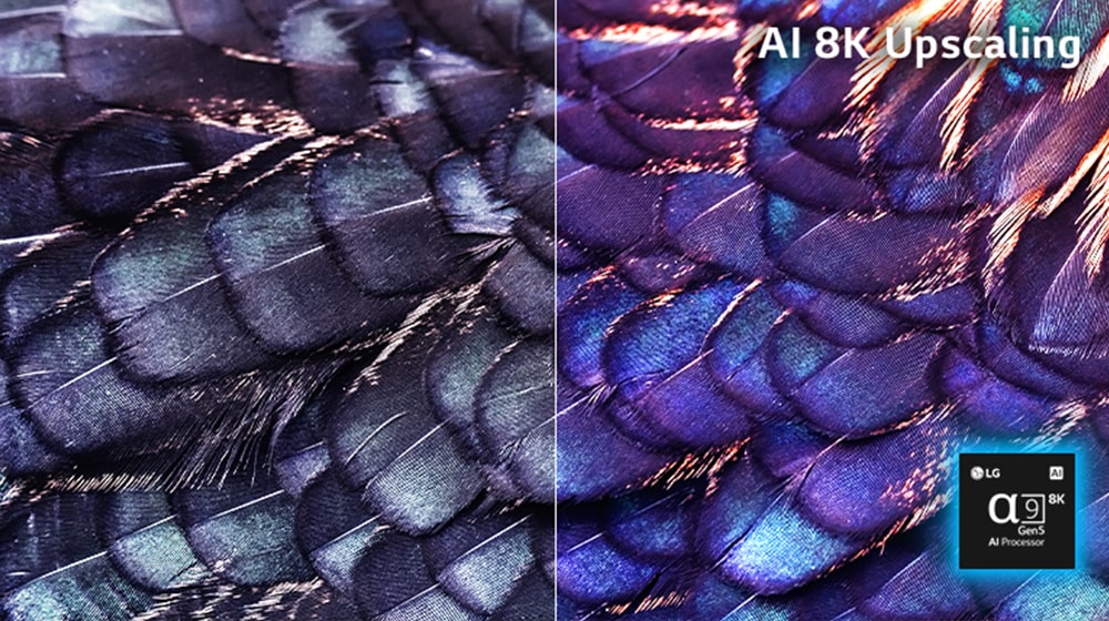Er is een afbeelding van texturen van heldere veren van een paarse sprookjesvogel. Het beeld is in tweeën gesplitst - het linkerdeel is minder levendig en het rechterdeel is levendiger en er staat AI 8K-upscaling op het rechterbovendeel met processorchip.