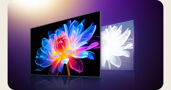 Weergave van de manier waarop MiniLED betere beelden weergeeft dan andere conventionele LED’s. Een LG TV-scherm met een 3D-holografische bloem tegen een zwarte achtergrond. Achter de TV is een grafische weergave van de positionering van conventionele LED’s op het scherm. De LED’s zijn groot en klein in aantal. De bloem is grauw en grijs. Overgang naar MiniLED, dat de bloem helderder weergeeft, met meer verzadigde kleuren en geweldig contrast. De grafische weergave van MiniLED laat ook zien dat er grotere aantallen kleine LED-lampjes op het scherm zijn.