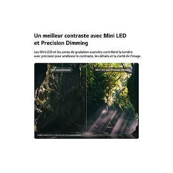 La vue avant de la Mini LED LG QNED evo AI QNED85, sortie en 2026, remplit l’écran de jaillissements éclatants et fluides de mouvements multicolores semblables à de la peinture, tandis que des nuages de couleurs denses se fondent harmonieusement sur l’écran.