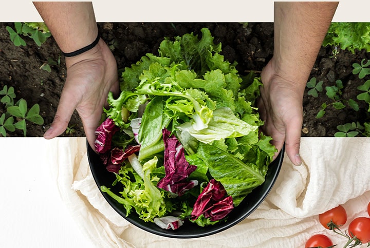 La partie supérieure de l’image montre la récolte de laitue dans un champ. La partie inférieure de l’image montre une salade fraîche dans une assiette ronde. Les légumes dans ces deux images sont connectés de manière naturelle comme s’ils n’étaient qu’une image.