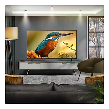 LG Smart TV LG QNED evo AI QNED85 MiniLED 4K 2025 65 pouces, 65QNED85A6C