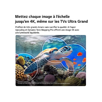 LG QNED evo AI QNED85 Mini LED est doté d’un hub AI pour la personnalisation, avec une icône AI au-dessus d’une télécommande entourée d’étiquettes pour la recherche multi-IA, AI Concierge, AI Voice ID avec My Page, AI Chatbot, AI Picture Wizard et AI Sound Wizard.