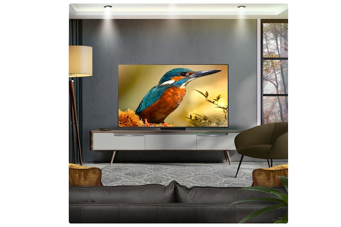LG Smart TV LG QNED evo AI QNED86 MiniLED 4K 2025 65 pouces, 65QNED86A6A