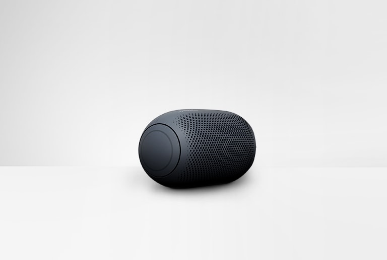 Op een witte achtergrond wordt het linkeraanzicht van de LG XBOOM Go PL2 getoond.