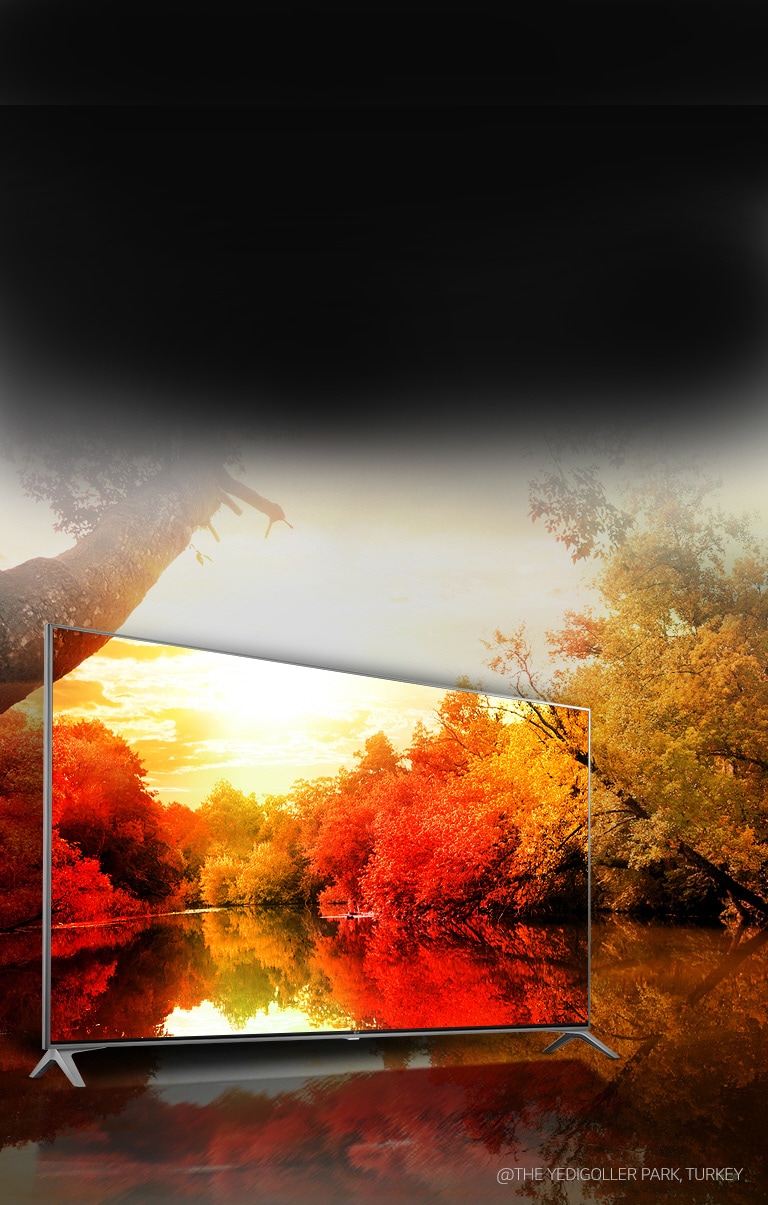 03_SJ80_B_Billionrichcolors(main)-d