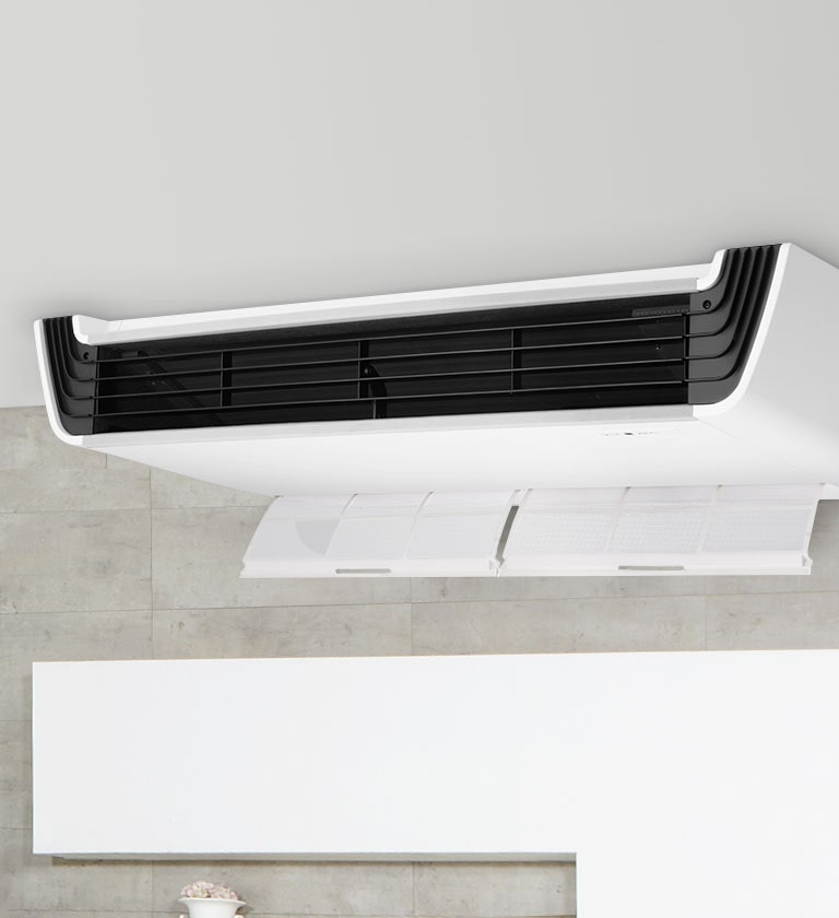 Filtro de fácil remoção<br>1