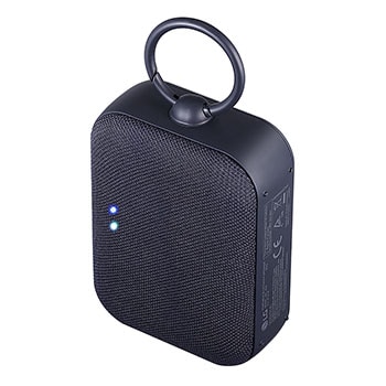 Left perspective view