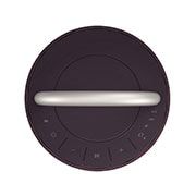 LG Caixa de Som Portátil LG XBOOM360 RP4 360º Bateria 10h USB Bluetooth Iluminação Personalizável, RP4