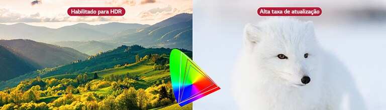 Uma tela vívida habilitada para HDR e outra tela com alta taxa de atualização exibindo a cor exata estão sendo mostradas.