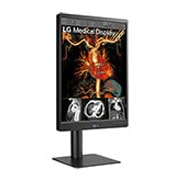 LG Monitor de diagnóstico LG IPS 21,3'' 3 MP, 21HQ513D-B