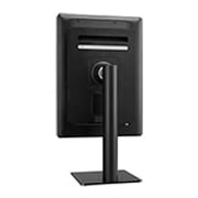 LG Monitor de diagnóstico LG IPS 21,3'' 3 MP, 21HQ513D-B
