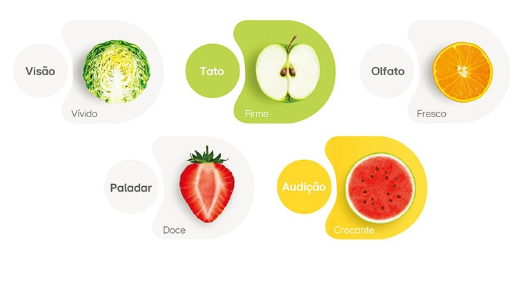 Alimentos mais conservados. Mantenha os alimentos frescos por mais tempo. Explore seus sentidos e tenha uma experiência!