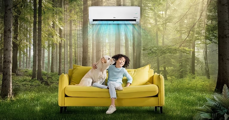  Pessoa em um sofá amarelo com um cão, em uma floresta, sob um ar condicionado LG, com raios de sol entre as árvores.
