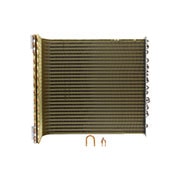 ACG73867718