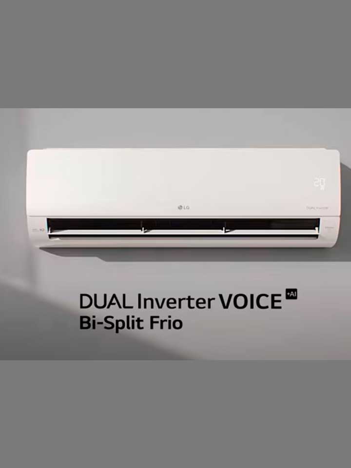 Dual Inverter