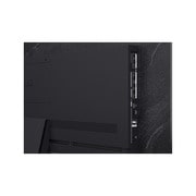 oled65c6psa