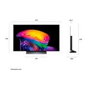 oled48c6psa