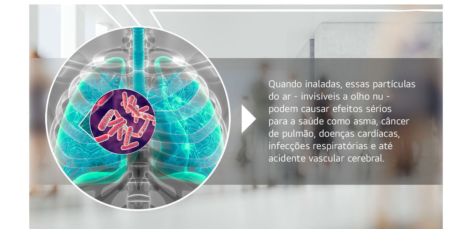 Circulação