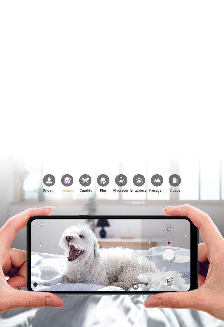 Close de uma pessoa fotografando um cachorro com o smartphone.