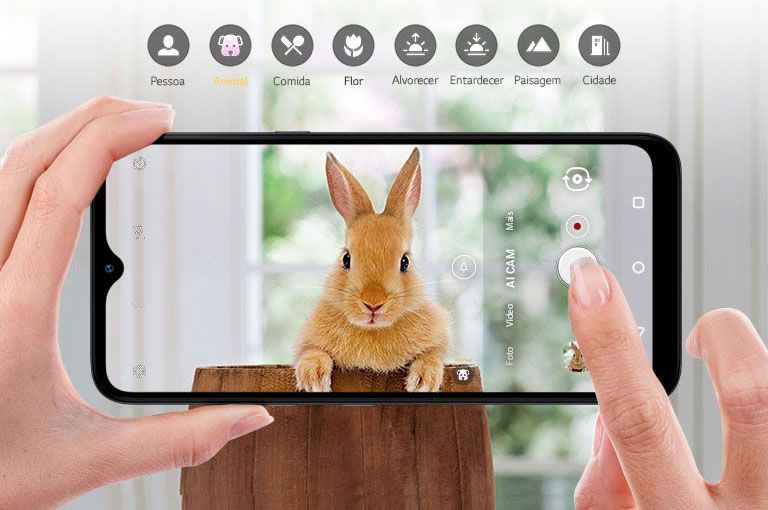 Close de uma pessoa fotografando um coelho com o smartphone.