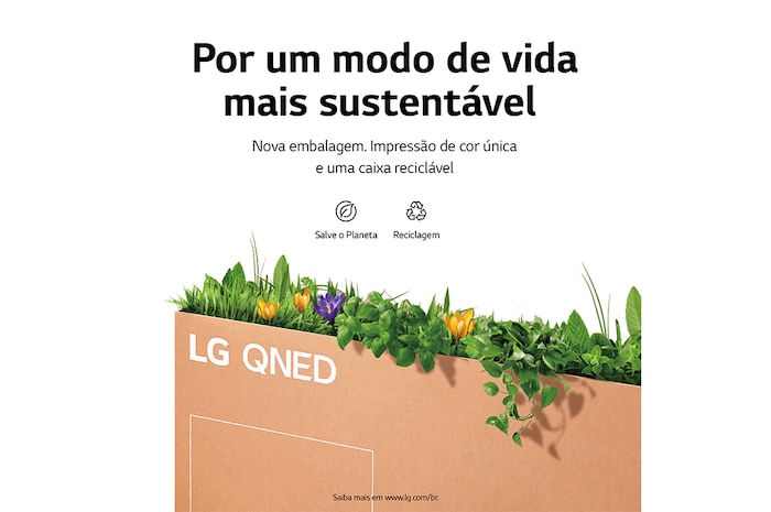 LG Smart TV LG QNED 65" 4K 65QNED80 120Hz FreeSync ThinQ Google Alexa 65QNED80SQA, 65QNED80SQA