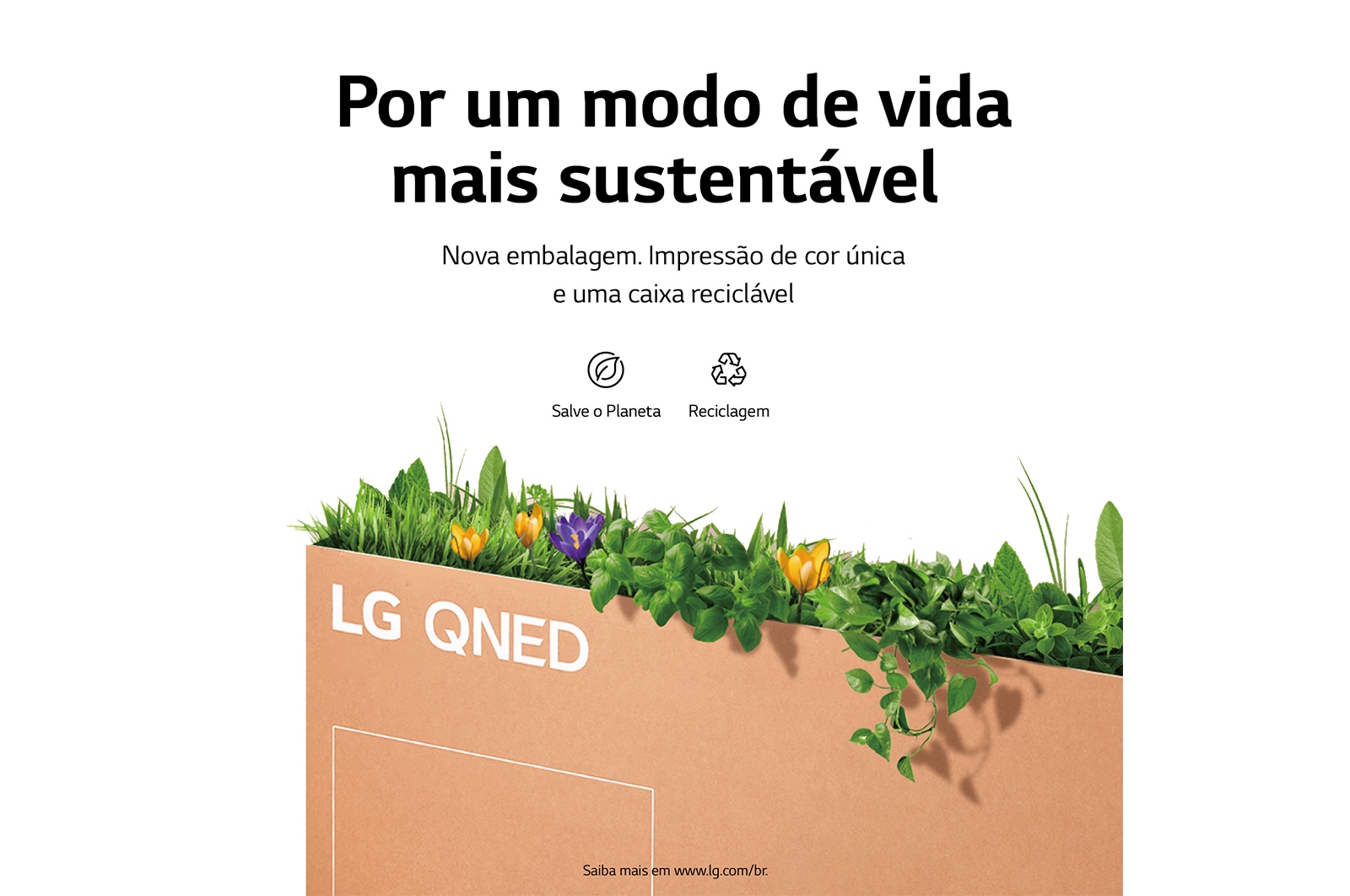 LG Smart TV LG QNED 65" 4K 65QNED80 120Hz FreeSync ThinQ Google Alexa 65QNED80SQA, 65QNED80SQA
