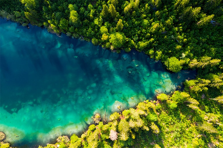 A imagem apresenta a vista superior de uma densa floresta natural, com um rio correndo no meio dela. É uma imagem que descreve o FHD.