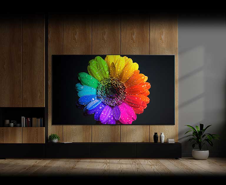 Os Mini-LEDs dentro da TV se acendem e preenchem todo o monitor, formando uma flor intensamente colorida ao final.